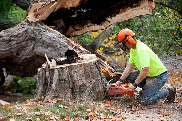 Best Lawn Maintenance Plans  in Tuttle, OK